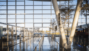 ACMF Services - what we do